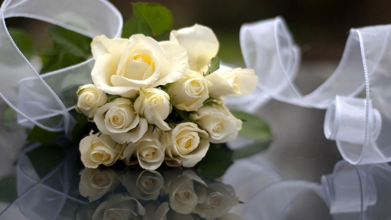 Wallpaper rose, white, flowers, bouquet, ribbon, reflection