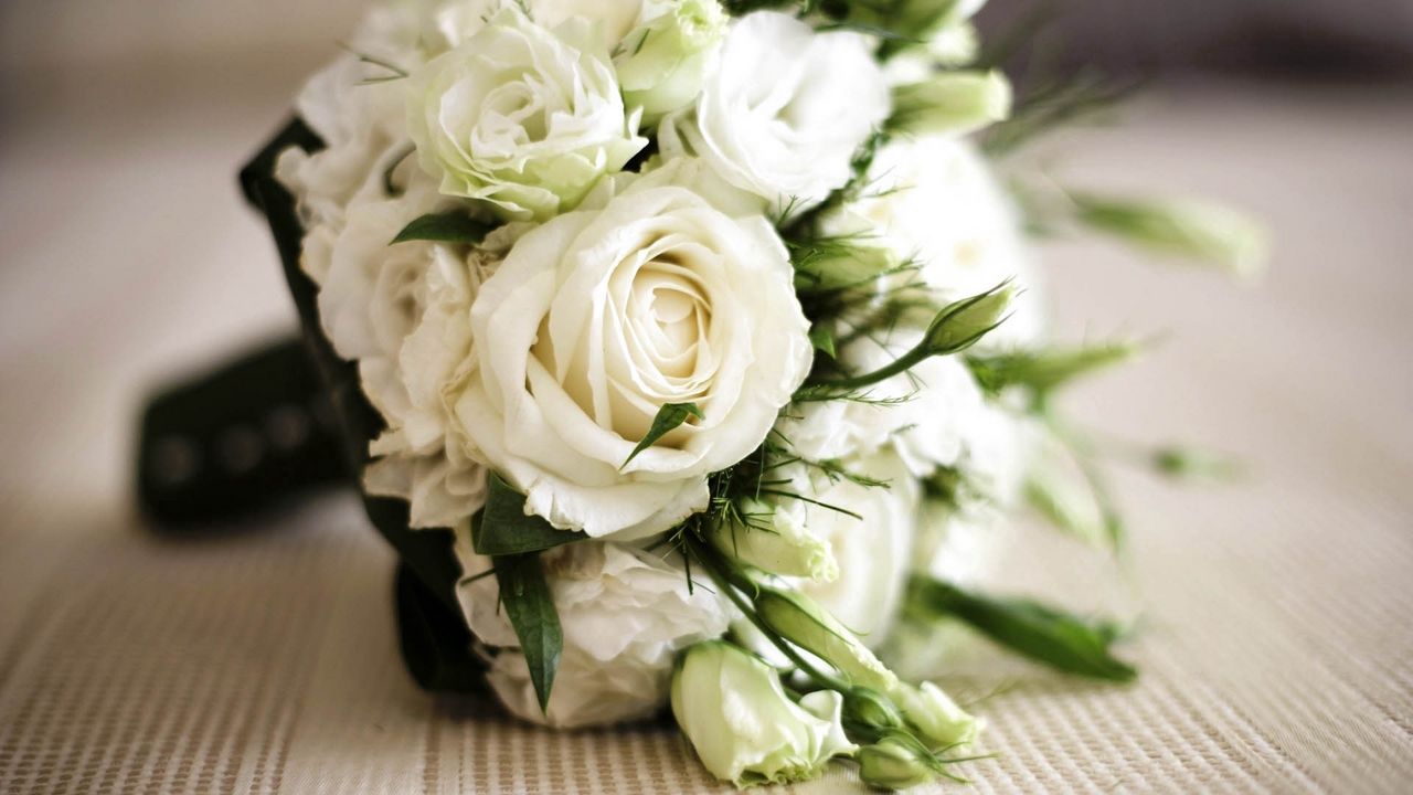 Wallpaper rose, white, flowers, bouquet