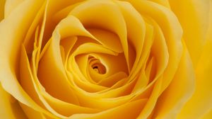 Yellow full hd, hdtv, fhd, 1080p wallpapers hd, desktop backgrounds  1920x1080, images and pictures