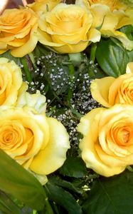 Preview wallpaper rose, yellow, flower, decoration