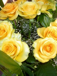 Preview wallpaper rose, yellow, flower, decoration