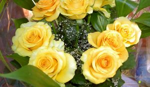 Preview wallpaper rose, yellow, flower, decoration