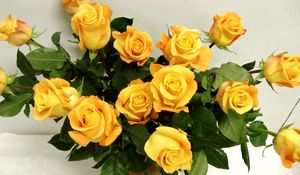 Preview wallpaper rose, yellow, flower, vase, elegant