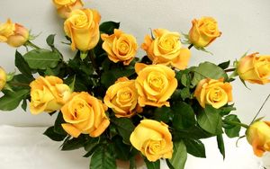 Preview wallpaper rose, yellow, flower, vase, elegant