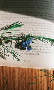 Preview wallpaper rosemary, flowers, branch, book, reading