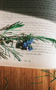 Preview wallpaper rosemary, flowers, branch, book, reading