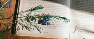 Preview wallpaper rosemary, flowers, branch, book, reading