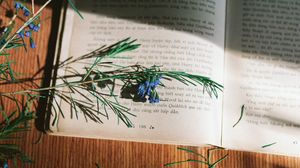Preview wallpaper rosemary, flowers, branch, book, reading