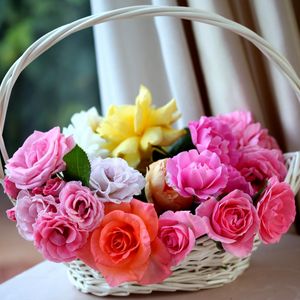 Preview wallpaper roses, basket, buds, charm
