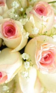 Preview wallpaper roses, bouquet, beautiful, decoration