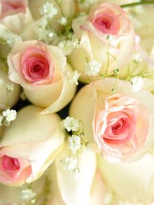 Preview wallpaper roses, bouquet, beautiful, decoration