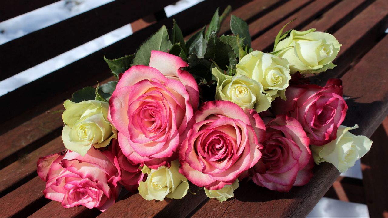 Wallpaper roses, bouquet, bench, buds