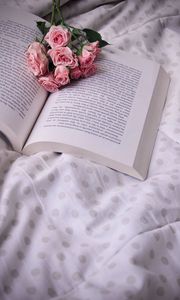 Preview wallpaper roses, bouquet, book, flowers, cloth