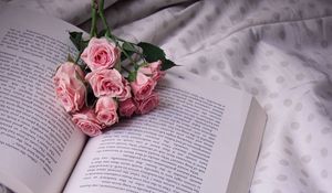 Preview wallpaper roses, bouquet, book, flowers, cloth