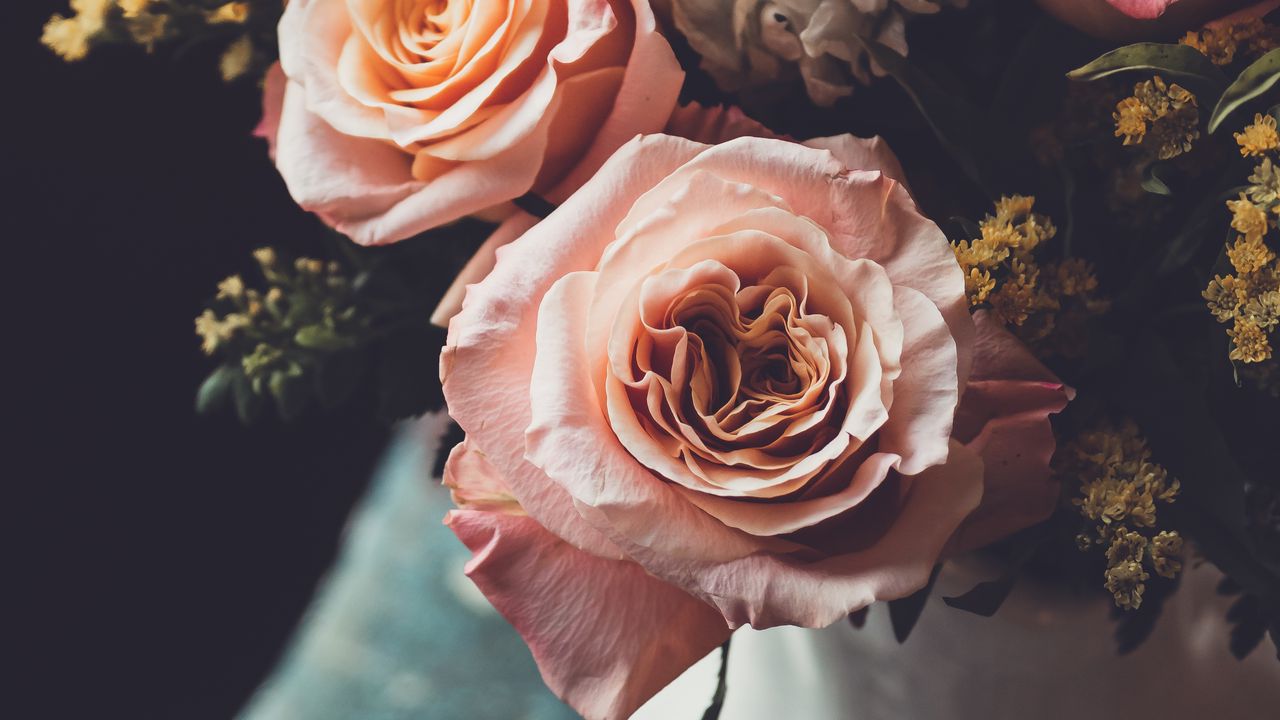 Wallpaper roses, bouquet, buds, flowers, blur