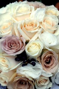 Preview wallpaper roses, bouquet, decoration, beautiful