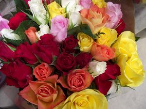Preview wallpaper roses, bouquet, different colors, beauty