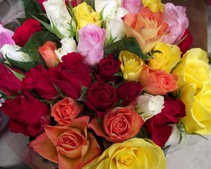 Preview wallpaper roses, bouquet, different colors, beauty