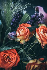 Preview wallpaper roses, bouquet, flowers, composition