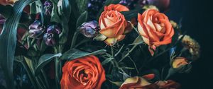 Preview wallpaper roses, bouquet, flowers, composition