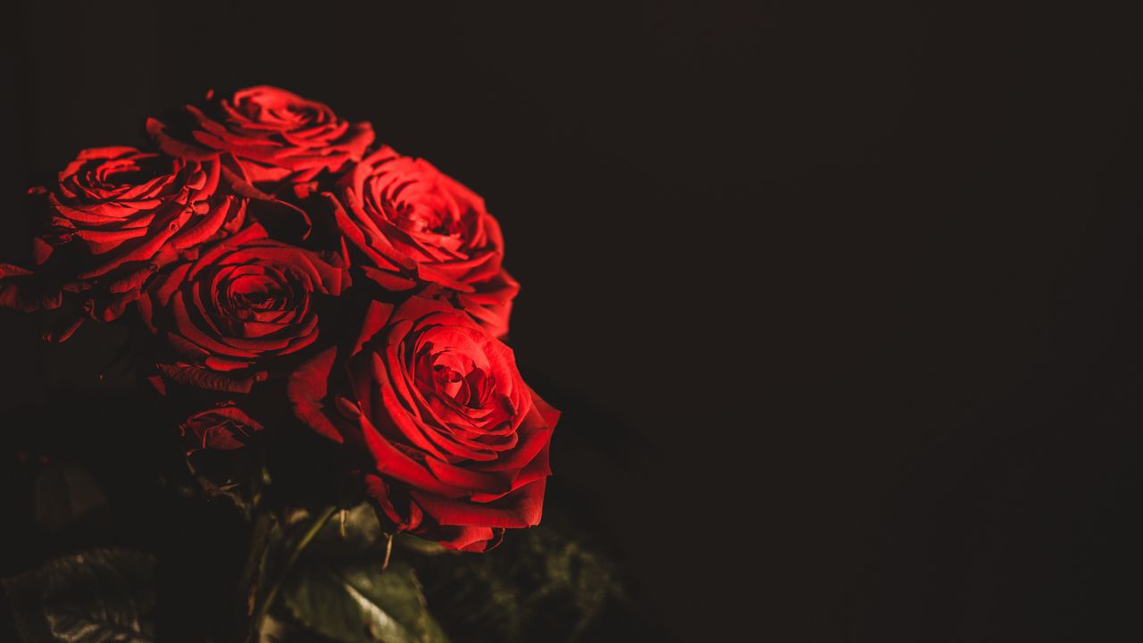 Wallpaper roses, bouquet, flowers, dark, red
