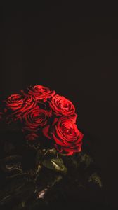 Preview wallpaper roses, bouquet, flowers, dark, red