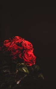 Preview wallpaper roses, bouquet, flowers, dark, red