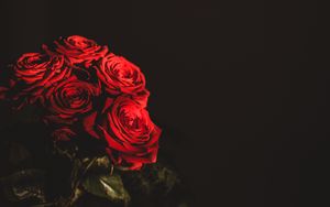 Preview wallpaper roses, bouquet, flowers, dark, red