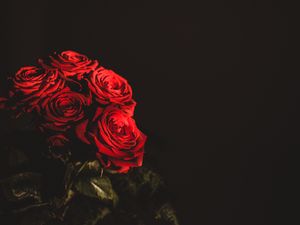 Preview wallpaper roses, bouquet, flowers, dark, red