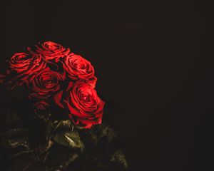 Preview wallpaper roses, bouquet, flowers, dark, red