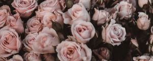 Preview wallpaper roses, bouquet, flowers, light pink, romance