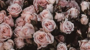 Preview wallpaper roses, bouquet, flowers, light pink, romance
