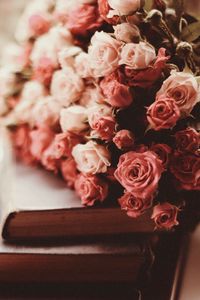 Preview wallpaper roses, bouquet, flowers, pink, books