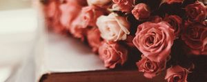 Preview wallpaper roses, bouquet, flowers, pink, books