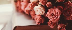 Preview wallpaper roses, bouquet, flowers, pink, books