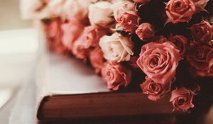 Preview wallpaper roses, bouquet, flowers, pink, books