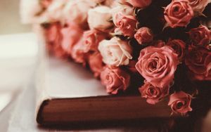 Preview wallpaper roses, bouquet, flowers, pink, books
