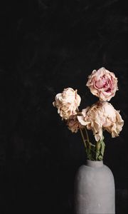 Preview wallpaper roses, bouquet, flowers, dry, vase