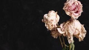 Preview wallpaper roses, bouquet, flowers, dry, vase