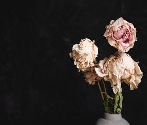 Preview wallpaper roses, bouquet, flowers, dry, vase
