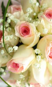 Preview wallpaper roses, bouquet, flowers, grass, tender