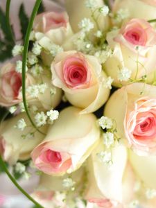 Preview wallpaper roses, bouquet, flowers, grass, tender