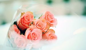 Preview wallpaper roses, bouquet, flowers, packaging, sharpness