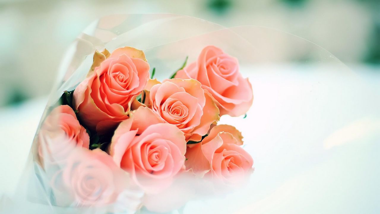 Wallpaper roses, bouquet, flowers, packaging, sharpness hd, picture, image