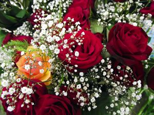 Preview wallpaper roses, bouquet, gypsophila, close-up