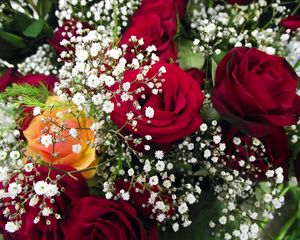 Preview wallpaper roses, bouquet, gypsophila, close-up