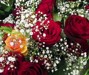 Preview wallpaper roses, bouquet, gypsophila, close-up