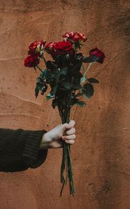 Preview wallpaper roses, bouquet, hand, wall