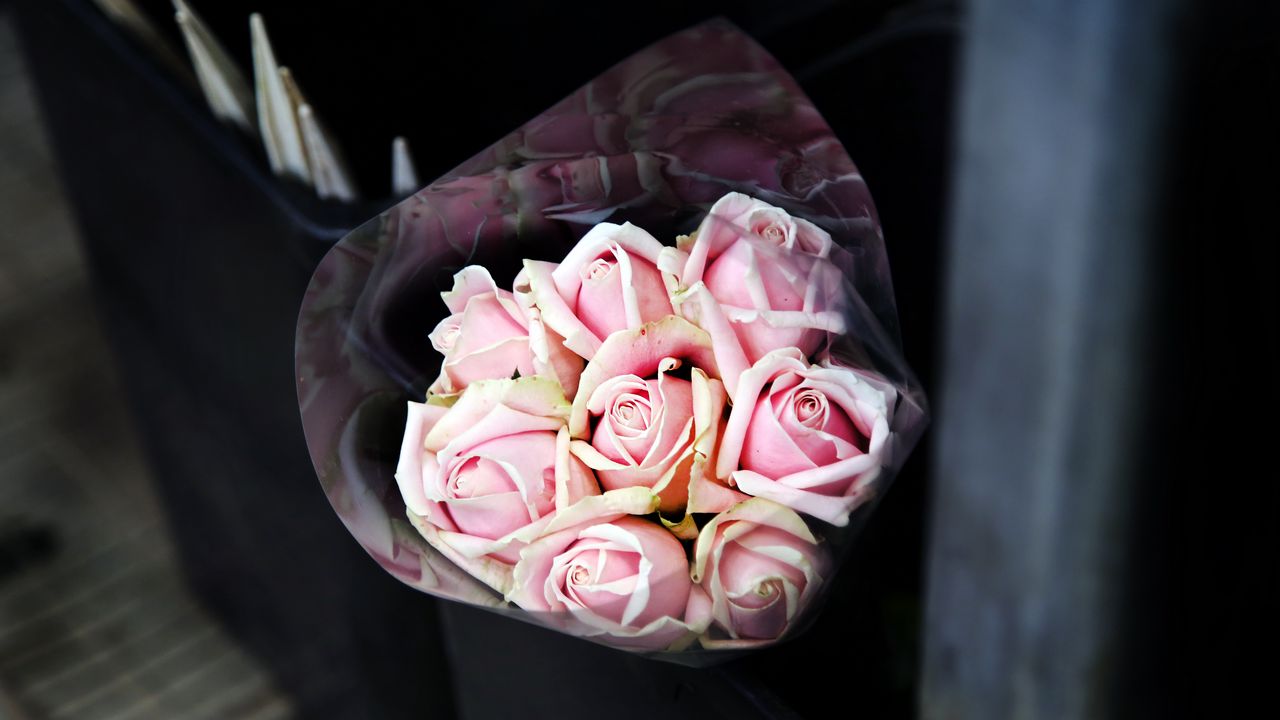 Wallpaper roses, bouquet, pink
