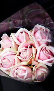 Preview wallpaper roses, bouquet, pink